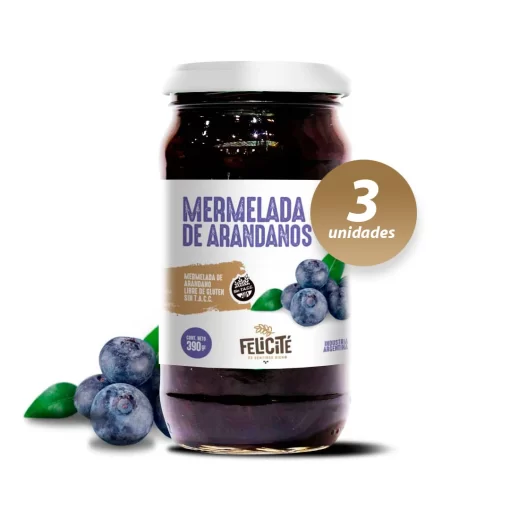 Mermelada de arándanos light x 390gr